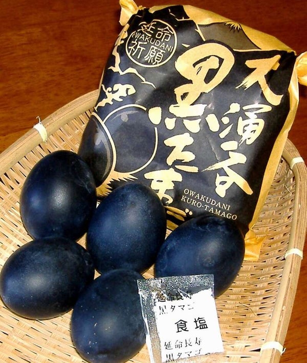 【東京都内発】 【読売新聞 東部読売会】秋の箱根涼風旅!沼津港「魚河岸・丸天丼」と パワースポット箱根神社・大地を感じる大涌谷「ちきゅうの谷」 日帰り2